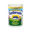 ambrosia-devon-custardkby